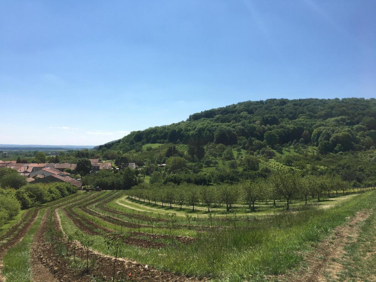 Chambres D'Hotes La Bottee Vieville-sous-les-Cotes Екстериор снимка
